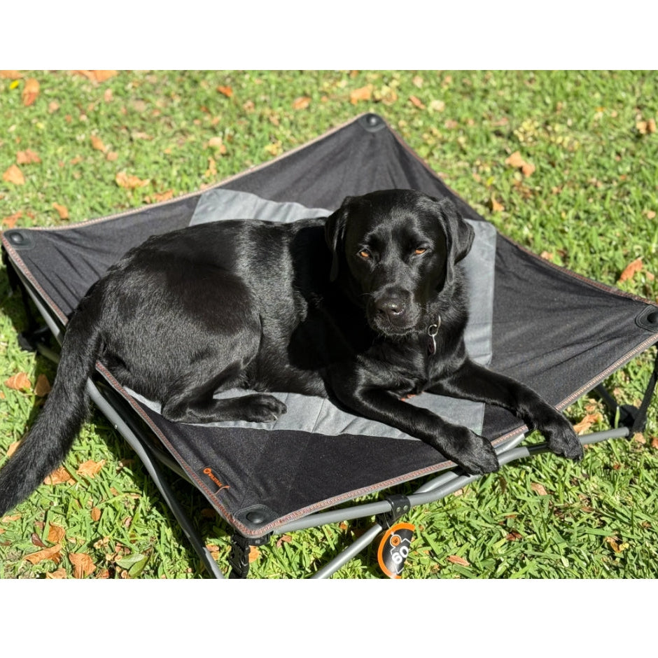 Deluxe XL Pet Camp Bed