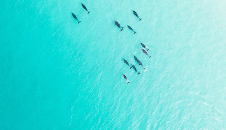 5 East Coast Summer Holiday Destinations