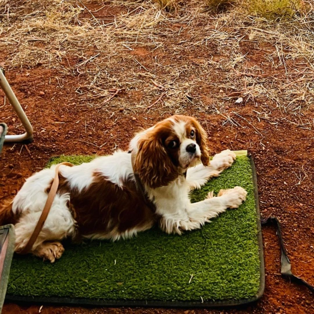 Muk Mat Original - Green 50 x 65cm