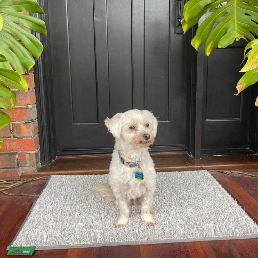MUK MAT LARGE LIGHT GREY 60 X 90CM