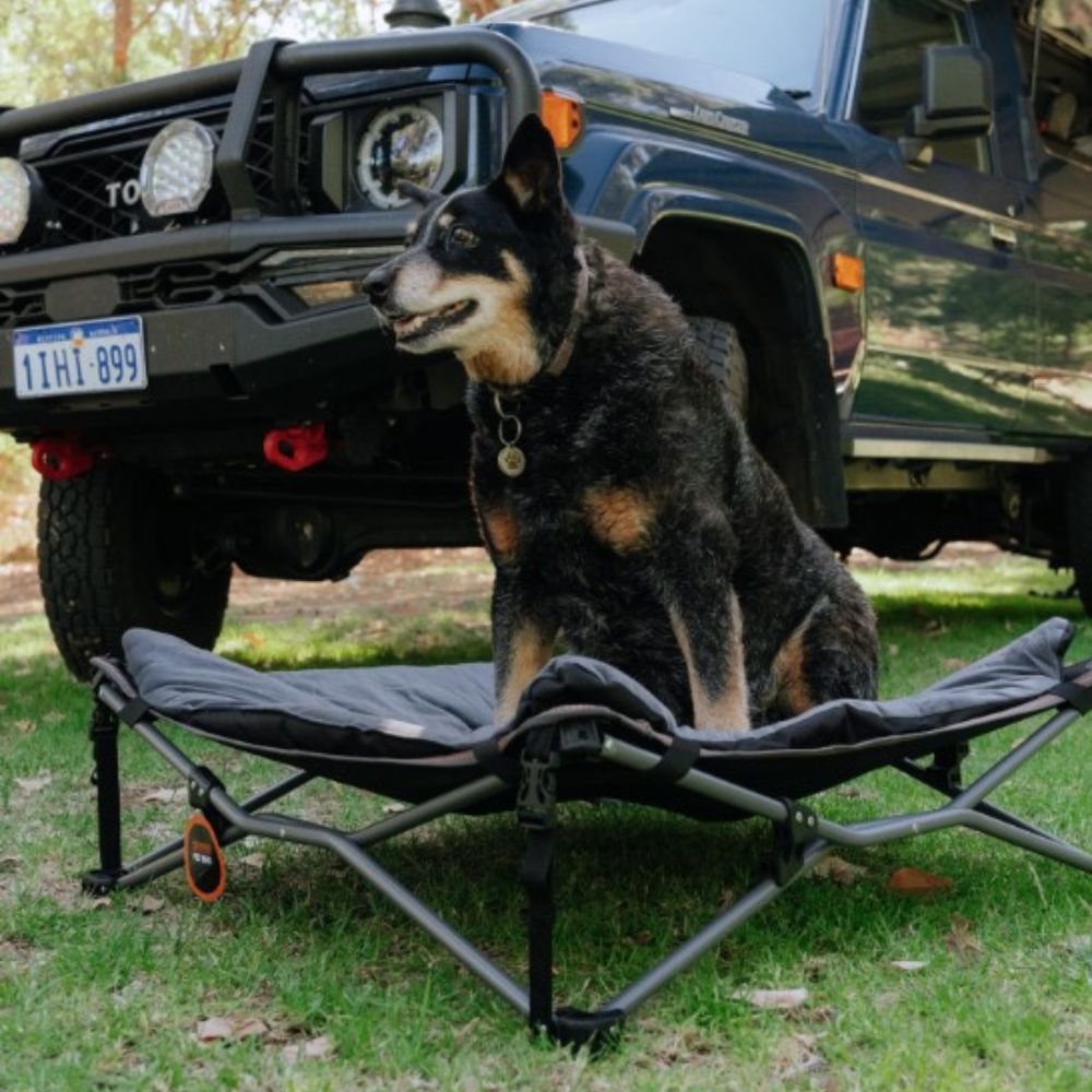 WILDTRAK FOLDING DELUXE PET BED WITH CARRY BAG