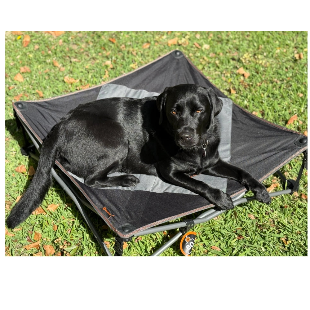 DELUXE XL PET CAMP BED 80KG RATING