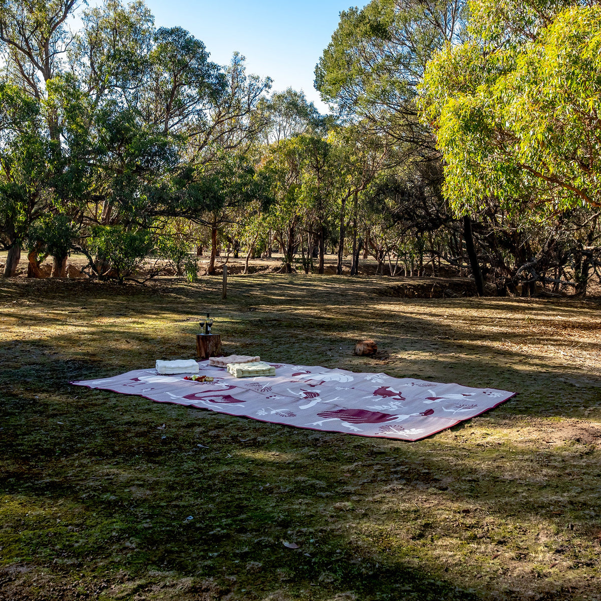 Outdoor Mat - Native Birds