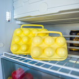 Egg Carrier - 12 Eggs