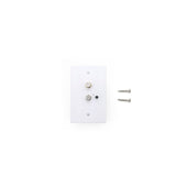 Antenna Wall Plate - AUX/Satellite