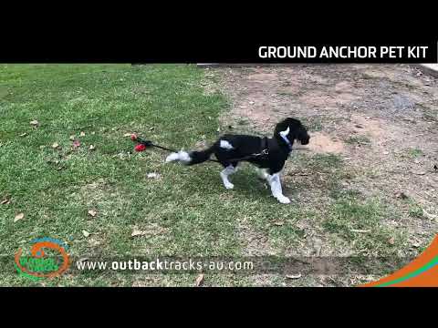 Ground Anchor Pet Kit